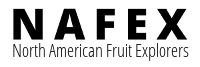 Nafex logo 200x67 on white best 2x 16d75de9 a435 44fa 9452 6e6a7d12d871