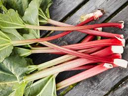 Rhubarb