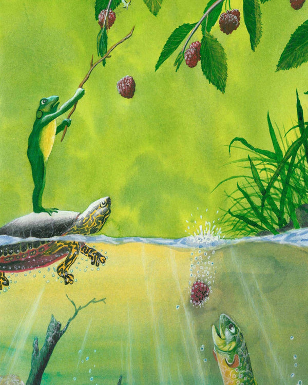 Elmoreroots frog raspberry2