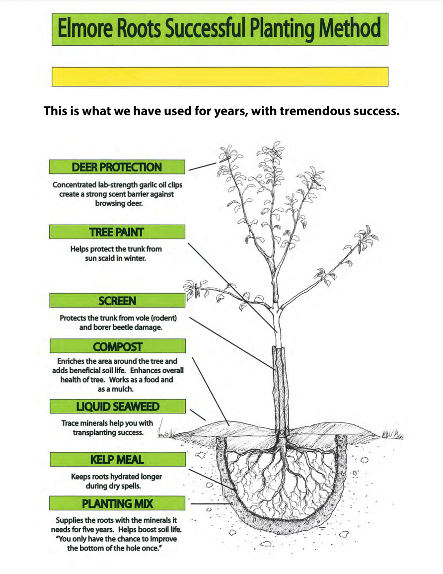 Growing Method Our Planting Method | Elmore Roots Nursery