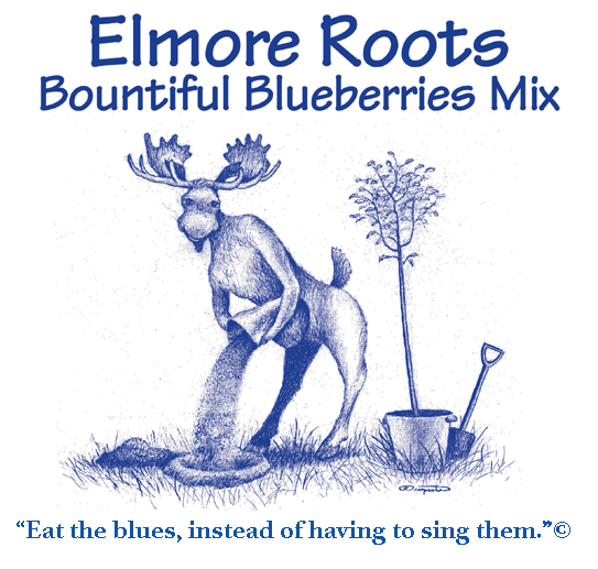 Elmore Roots Bountiful Blueberry Mix