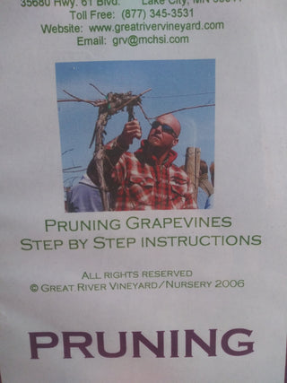 Grape Vine Pruning Video