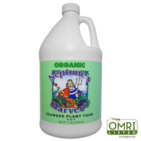 liquid seaweed for house plants Liquid Seaweed Plant and Tree Food