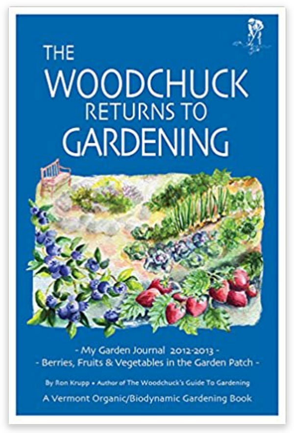 Woodchuck Returns to Gardening