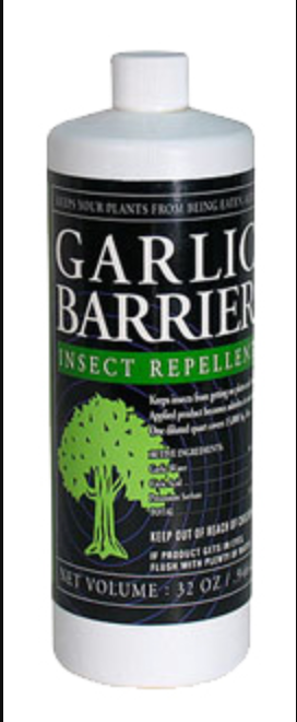 Garlic barrier