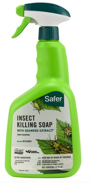 Safer Soap Organic Hard Bodied Insect Spray RTU